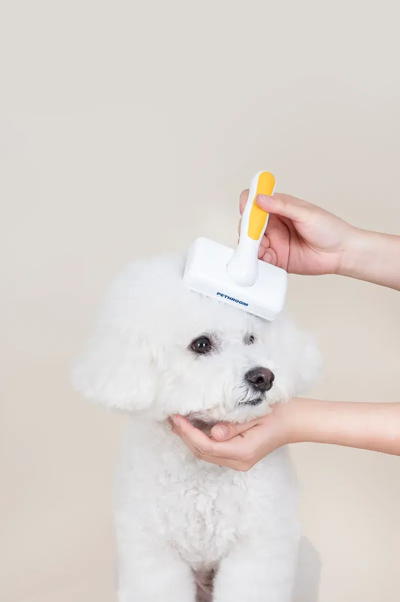 HEALING SLIKER BRUSH